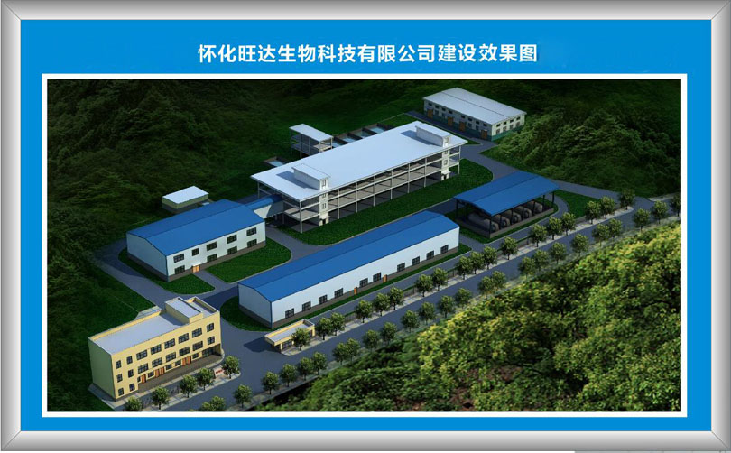开云手机官方版在线入口-开云（中国）
