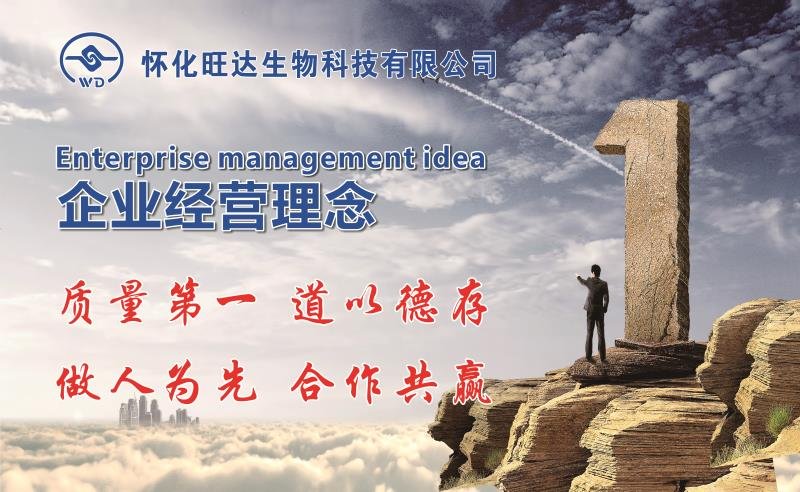 开云手机官方版在线入口