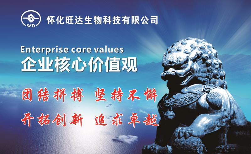 开云手机官方版在线入口