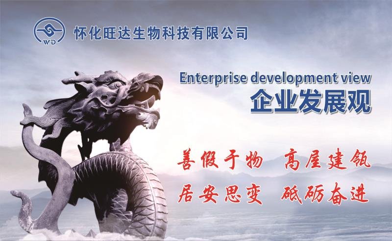 开云手机官方版在线入口