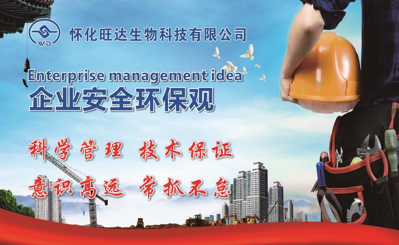 开云手机官方版在线入口