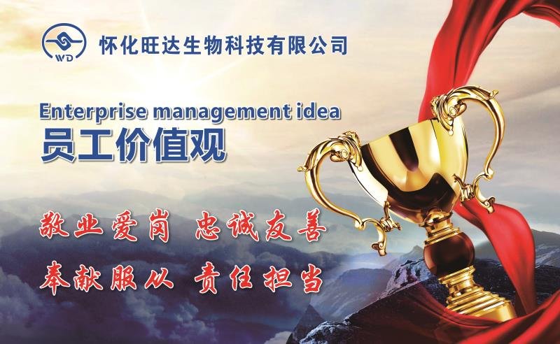 开云手机官方版在线入口