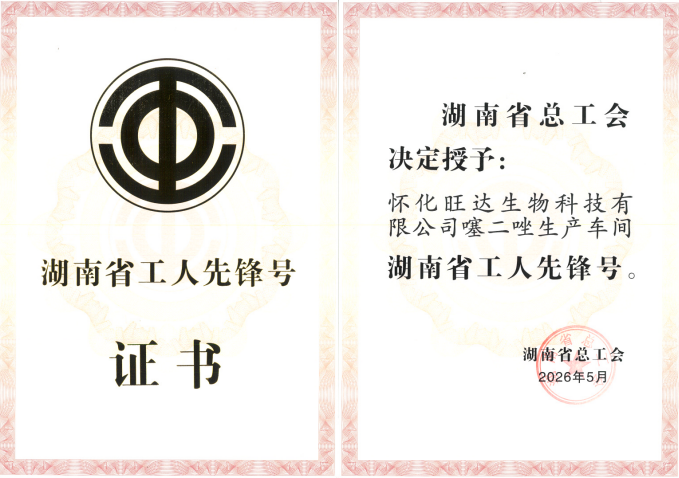 Hunan Provincial Workers' Pioneer Unit