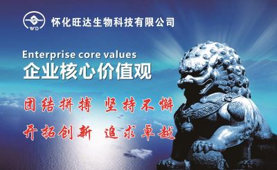 开云手机官方版在线入口