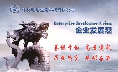 开云手机官方版在线入口
