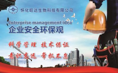 开云手机官方版在线入口