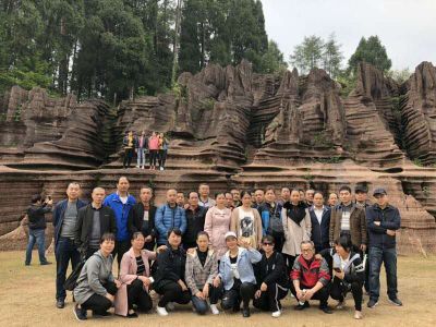 开云手机官方版在线入口-开云（中国）
组织2019年度员工旅游活动