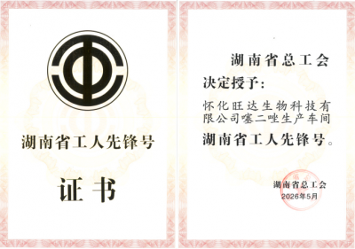 Hunan Provincial Workers' Pioneer Unit